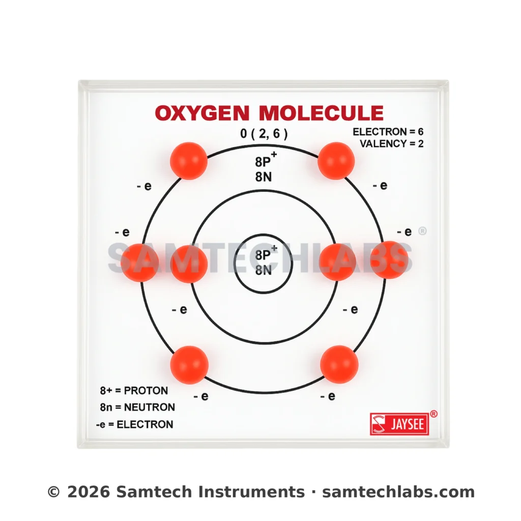 Oxygen Molecule Model Manufacturer & Supplier in Ambala, India
