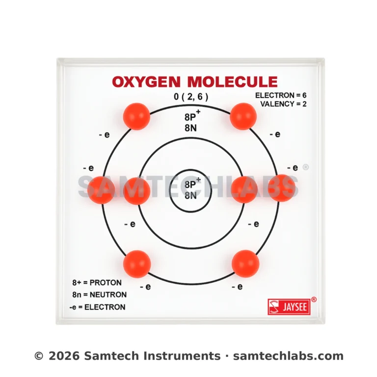 Oxygen Molecule Model Manufacturer & Supplier in Ambala, India