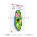 Paramecium Model Manufacturer & Supplier in Ambala, India