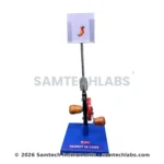 Parrot in Cage Model Manufacturer & Supplier in Ambala, India