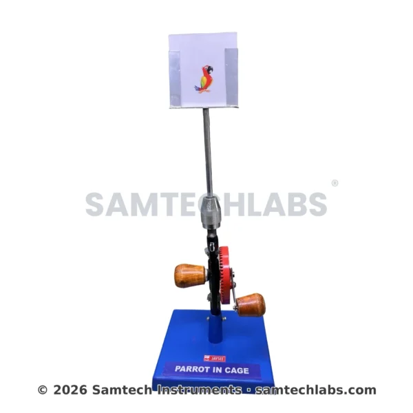 Parrot in Cage Model Manufacturer & Supplier in Ambala, India