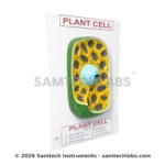 Plant Cell Model Manufacturer & Supplier in Ambala, India
