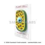 Plant Cell Model Manufacturer & Supplier in Ambala, India