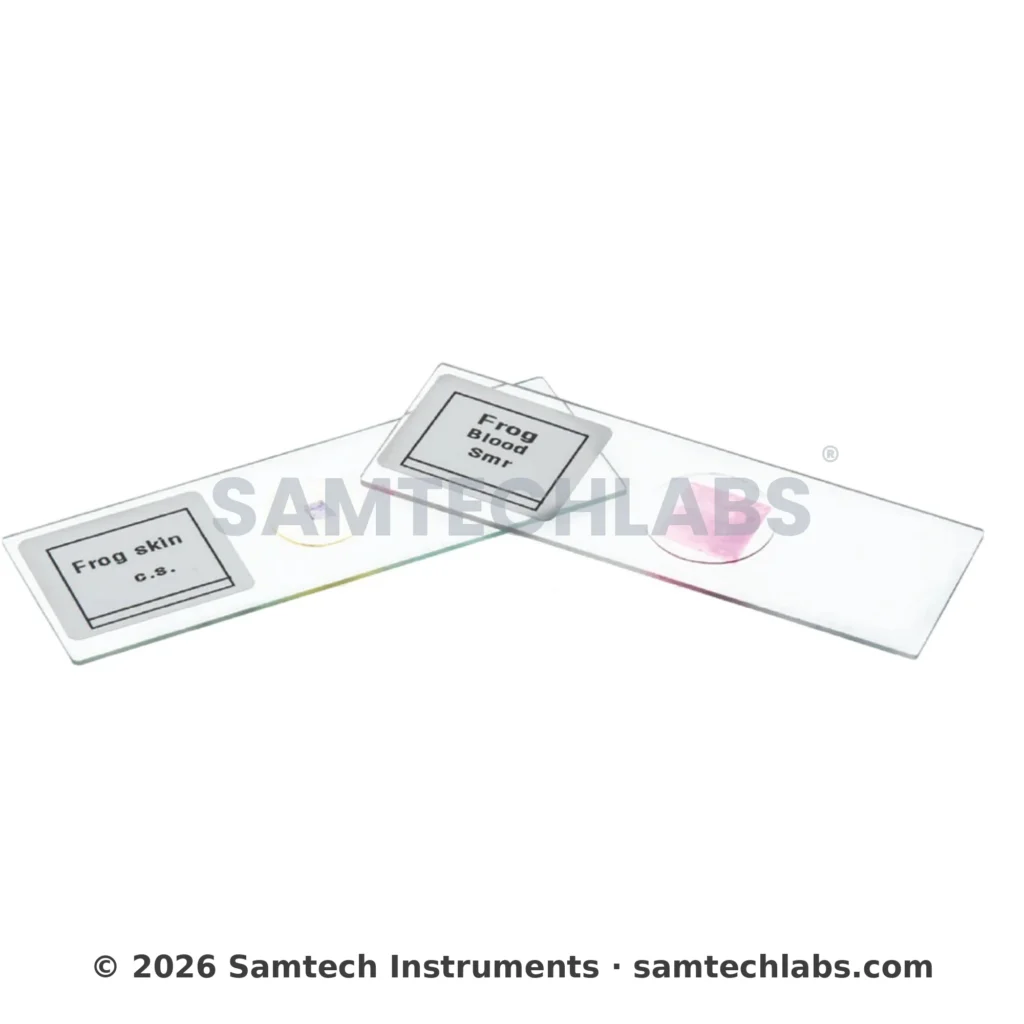 Plant Tissue Slide Manufacturer & Supplier in Ambala, India