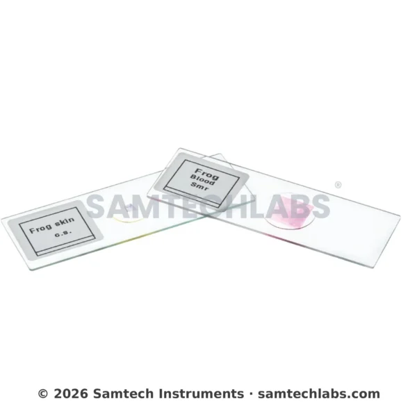 Plant Tissue Slide Manufacturer & Supplier in Ambala, India