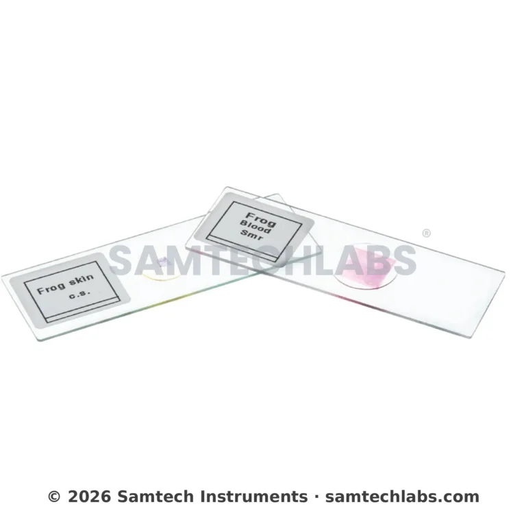 Plant Tissue Slide Manufacturer & Supplier in Ambala, India