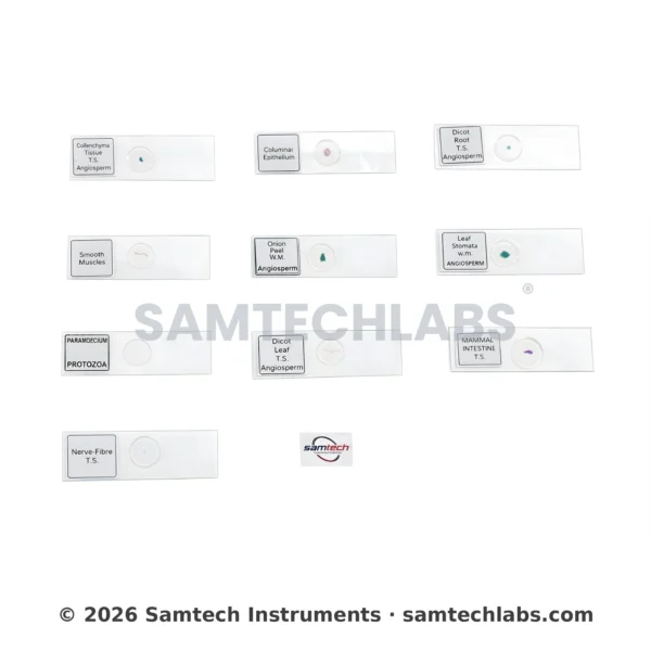 Prepared Slides (Set of 10) Manufacturer & Supplier in Ambala, India