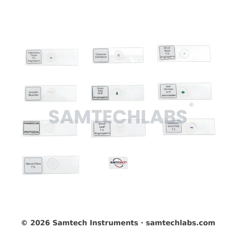 Prepared Slides (Set of 10) Manufacturer & Supplier in Ambala, India