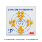 Structure of Phosphorus Model Manufacturer & Supplier in Ambala, India