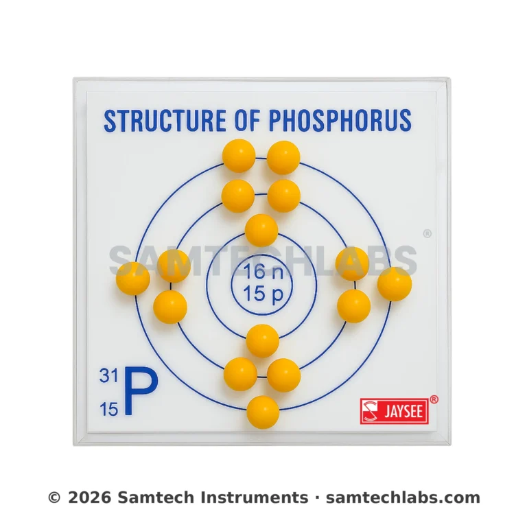 Structure of Phosphorus Model Manufacturer & Supplier in Ambala, India