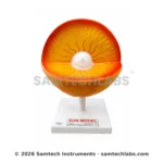 Sun Structure Model Manufacturer & Supplier in Ambala, India