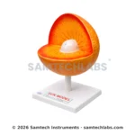 Sun Structure Model Manufacturer & Supplier in Ambala, India