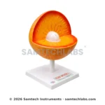 Sun Structure Model Manufacturer & Supplier in Ambala, India