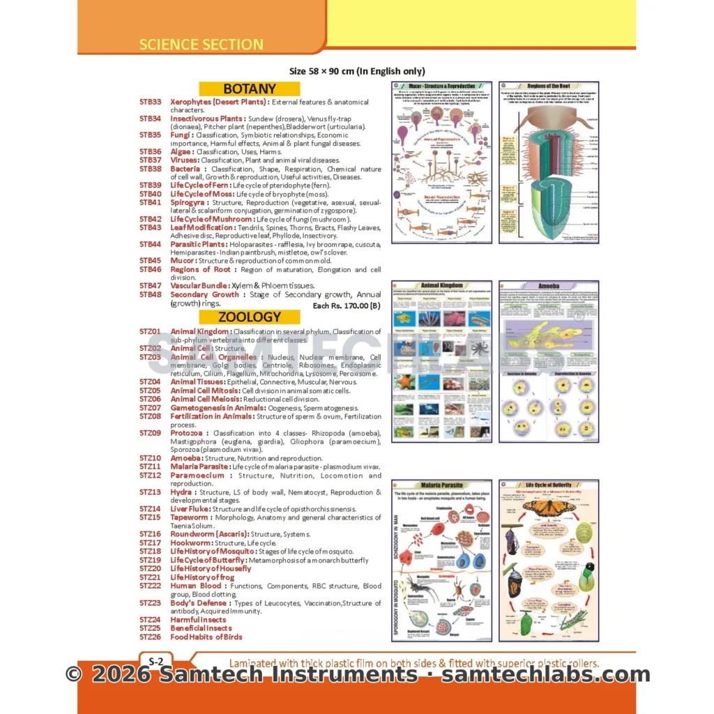 Zoology Charts Manufacturer & Supplier in Ambala, India