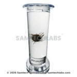 Zoology Specimen (Special) - Image 6