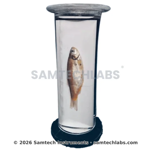 Zoology Specimens (Common) Manufacturer & Supplier in Ambala, India