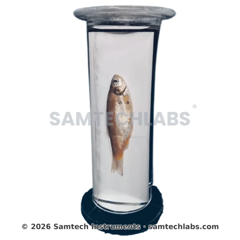 Zoology Specimens (Common) Manufacturer & Supplier in Ambala, India
